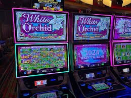 Pusat olahraga dan kasino virtual